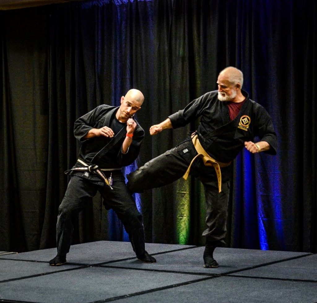 Martial Arts The Ninja Everyday