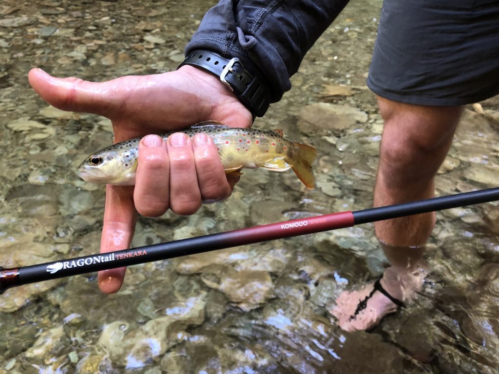 Dragontail Komodo Tenkara Rod Review